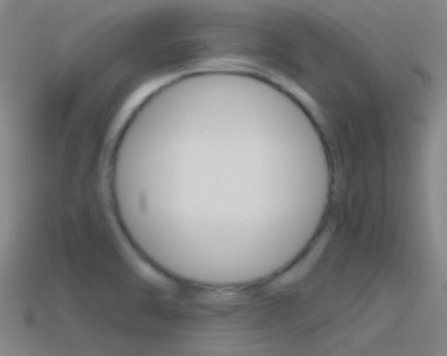 X0000114571470200910191023