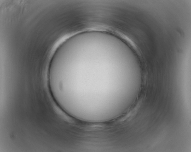 X0000114571471200910191023