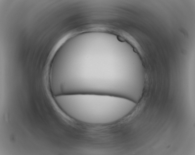 X0000114571475200910191023