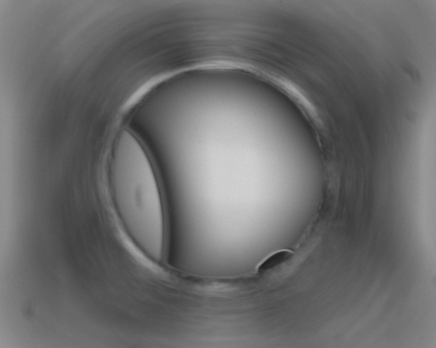 X0000114571476200910191023