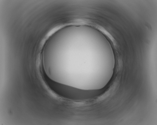 X0000114571477200910191023