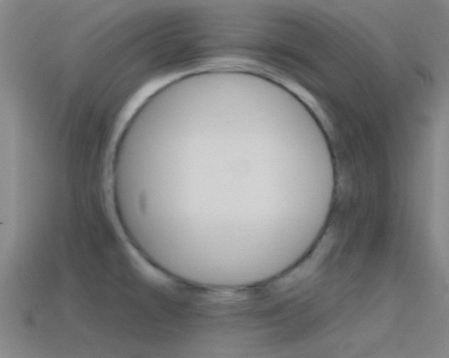 X0000114571478200910191023