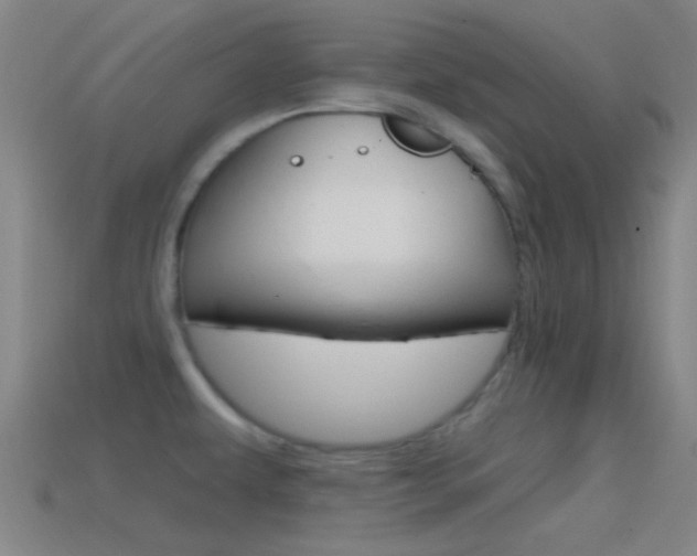 X0000114571479200910191023