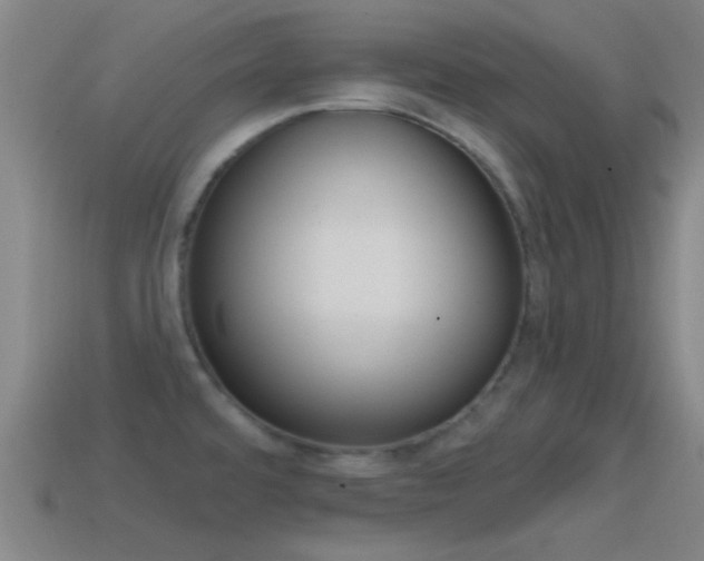 X0000114571480200910191023