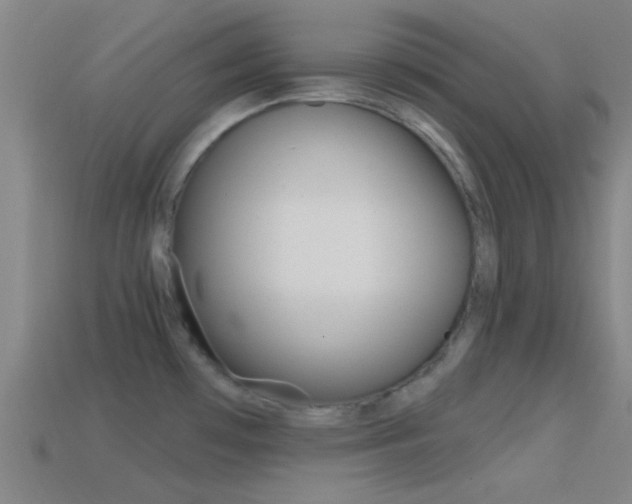 X0000114571481200910191023