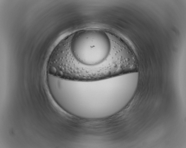 X0000114571483200910191023