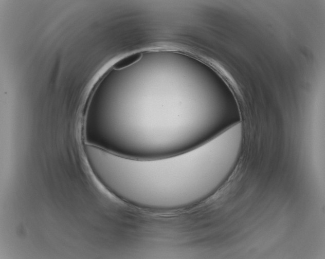 X0000114571484200910191023