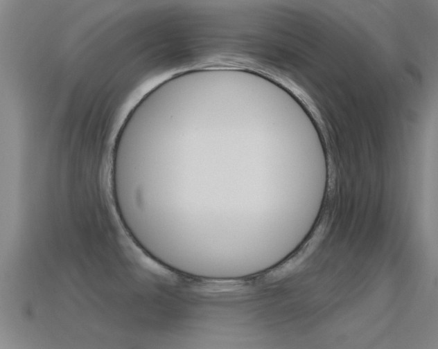 X0000114571486200910191023
