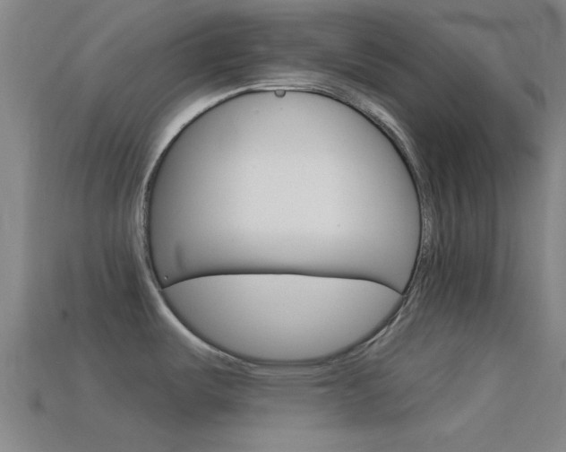 X0000114571487200910191023