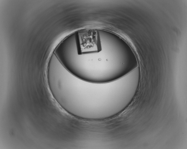 X0000114571488200910191023