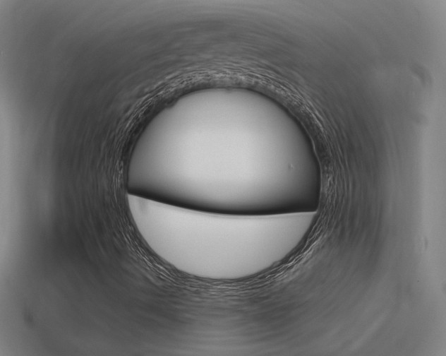 X0000114571490200910191022