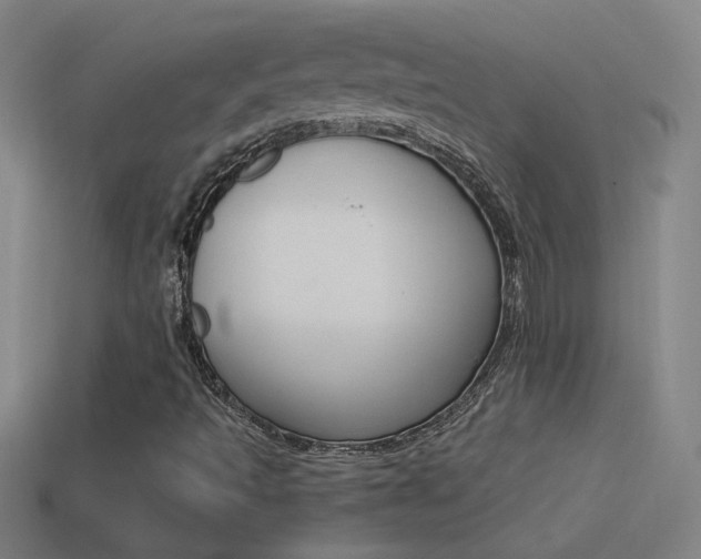 X0000114571493200910191022