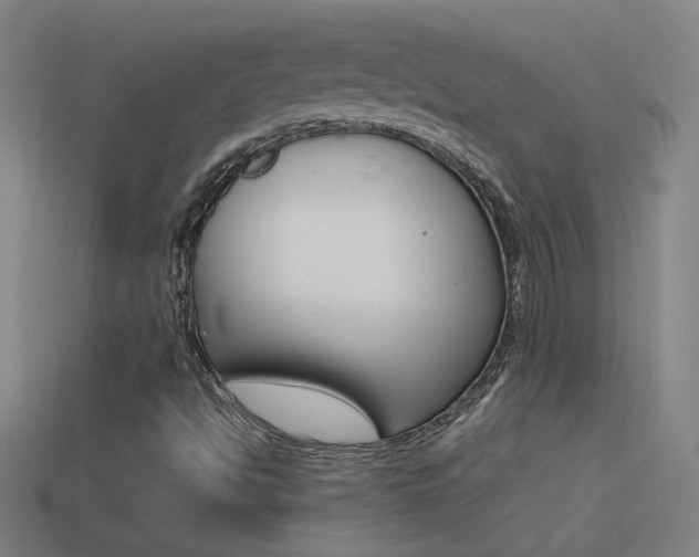 X0000114571494200910191022