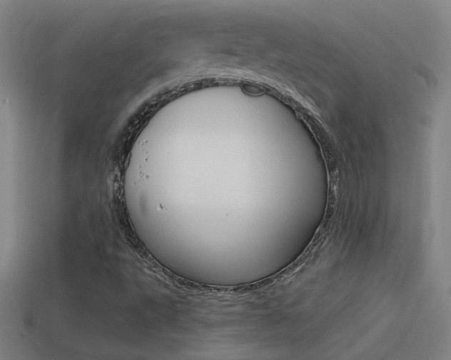 X0000114571495200910191022