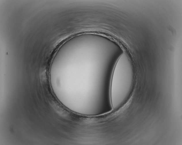 X0000114571497200910191022