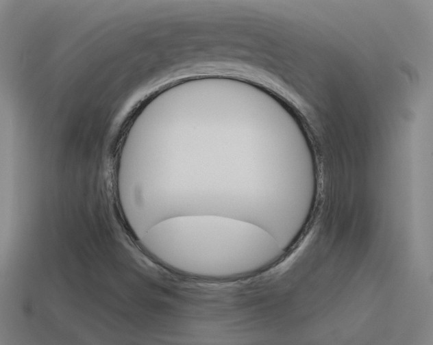 X0000114571498200910191022