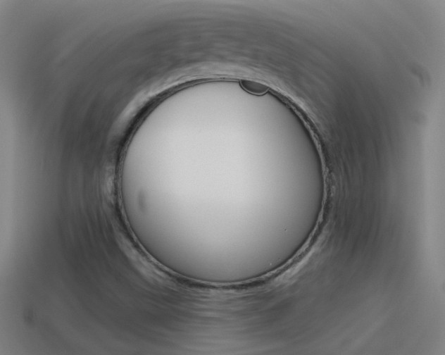 X0000114571499200910191022