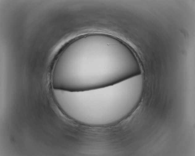 X0000114571503200910191022