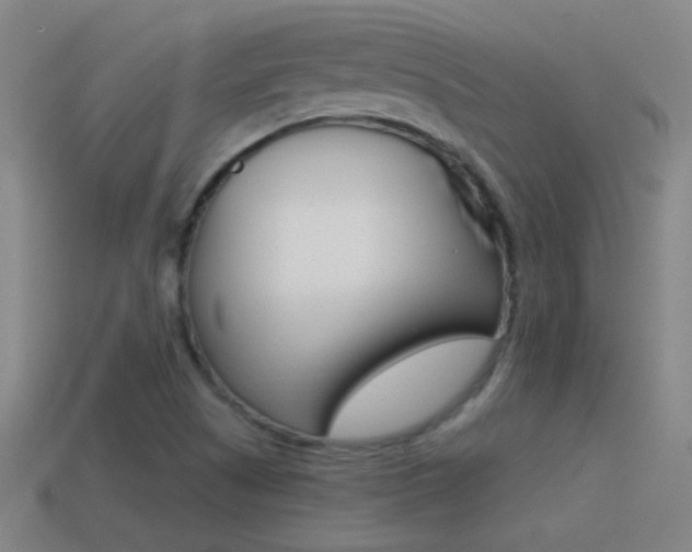 X0000114571505200910191022