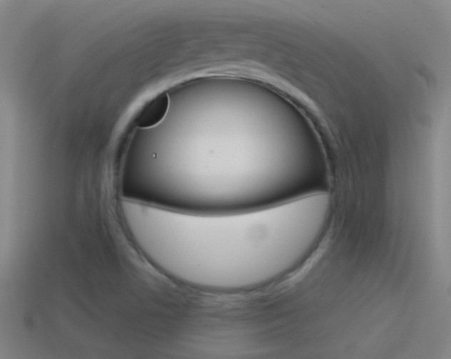 X0000114571506200910191022