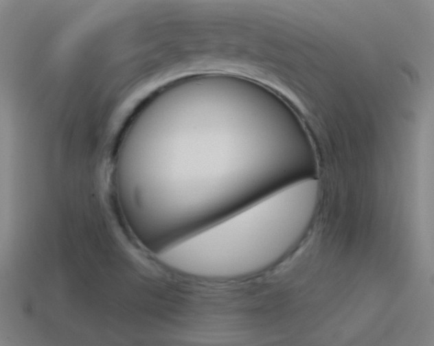 X0000114571507200910191022