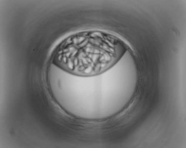 X0000114571510200910191022