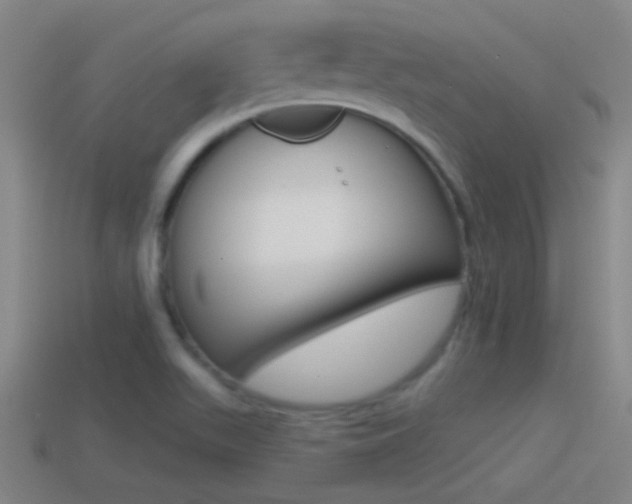 X0000114571511200910191022