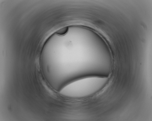 X0000114571513200910191022