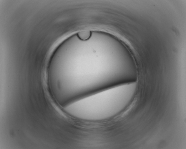 X0000114571517200910191022