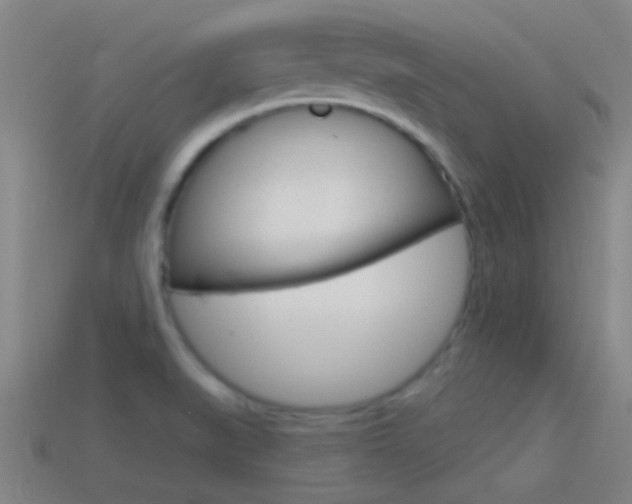X0000114571519200910191023