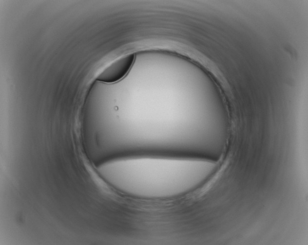 X0000114571521200910191023