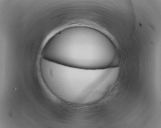 X0000114571522200910191023