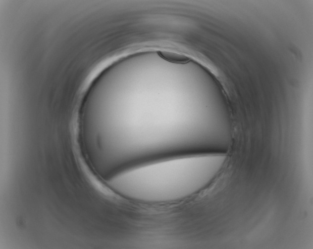 X0000114571523200910191023