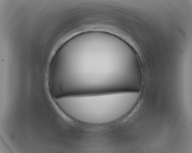 X0000114571525200910191023
