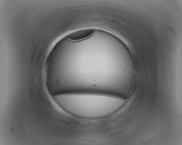 X0000114571526200910191023