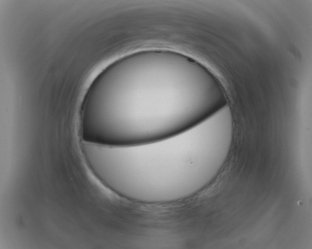 X0000114571527200910191023