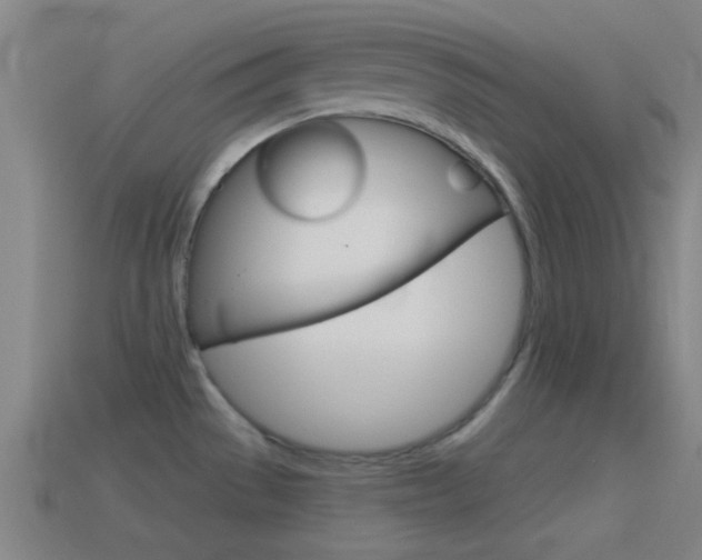 X0000114571529200910191023