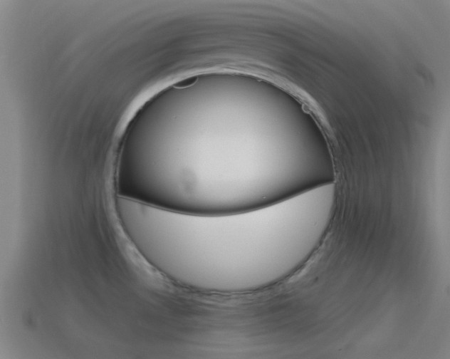 X0000114571530200910191023