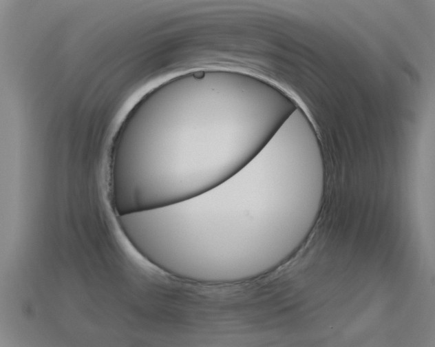X0000114571531200910191023