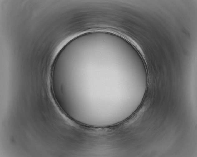 X0000114571533200910191023