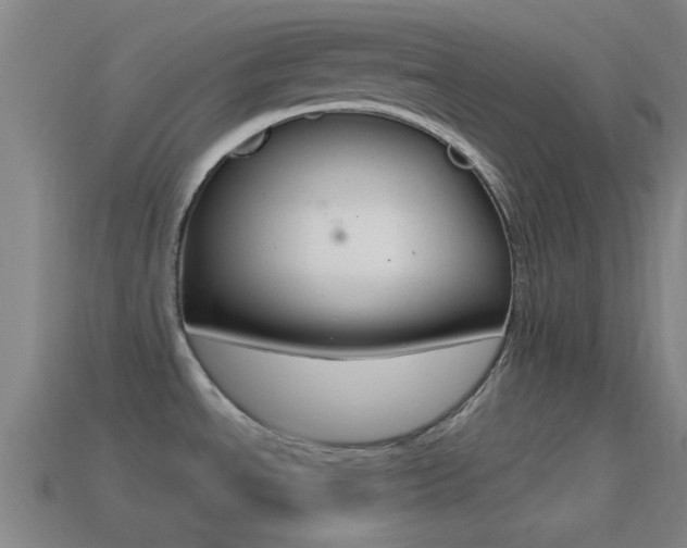 X0000114571534200910191023