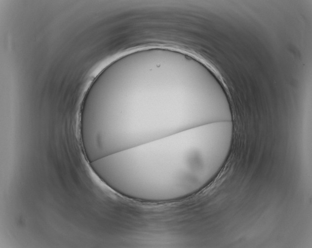 X0000114571535200910191023