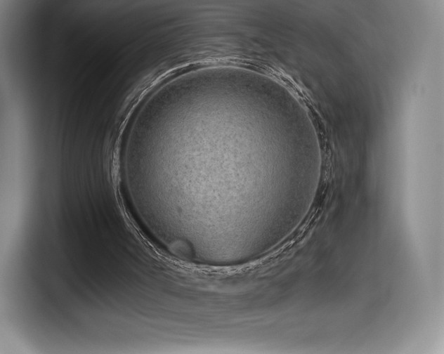 X0000114570002200910191512