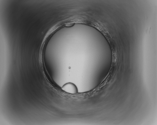 X0000114570004200910191512