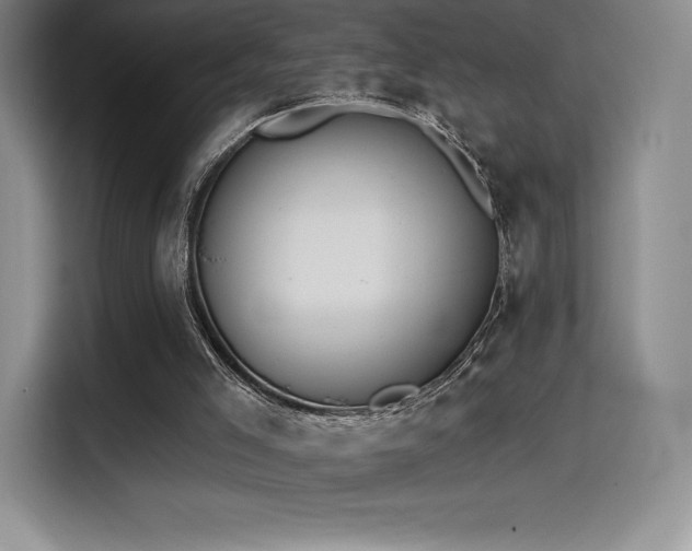 X0000114570005200910191512