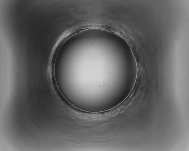 X0000114570006200910191512