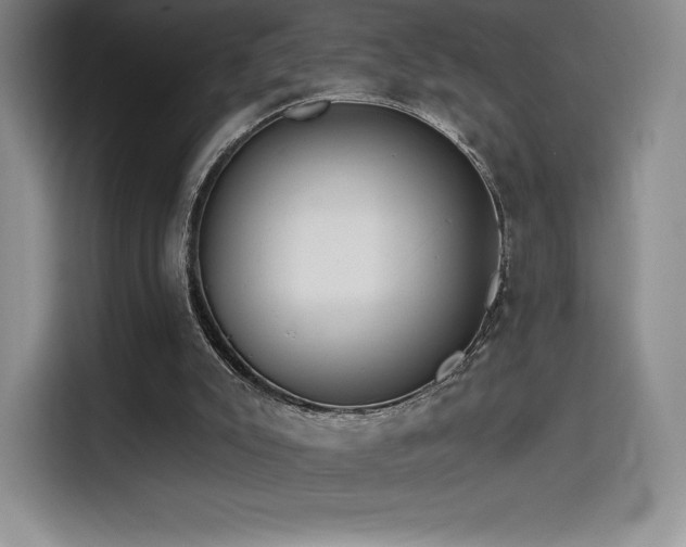 X0000114570007200910191512