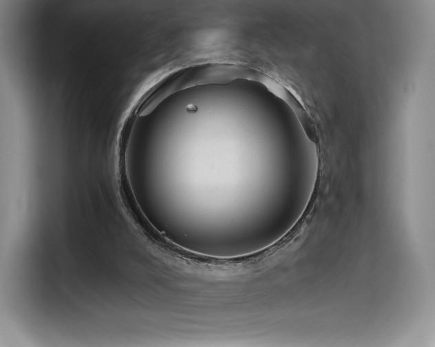 X0000114570008200910191512