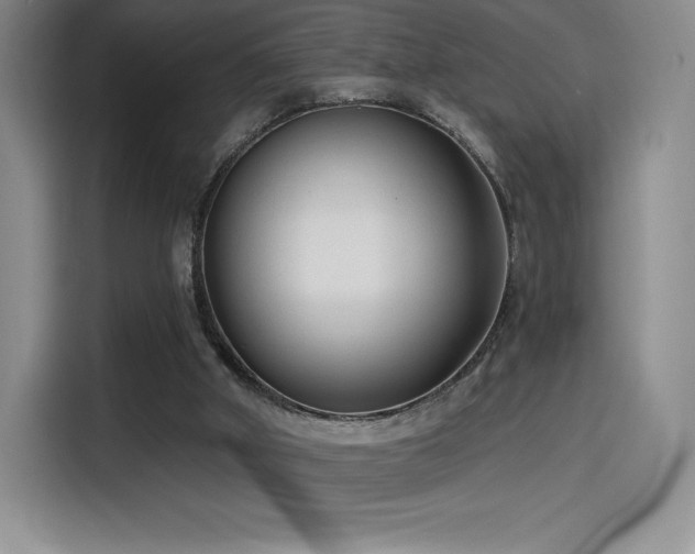 X0000114570010200910191512