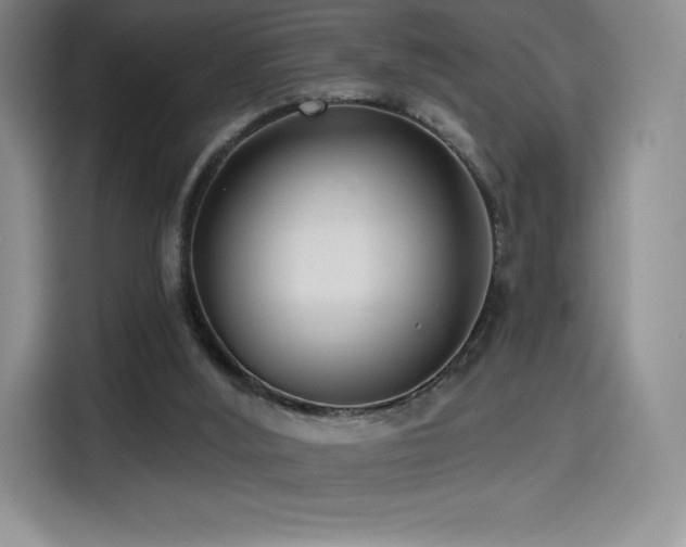 X0000114570012200910191512